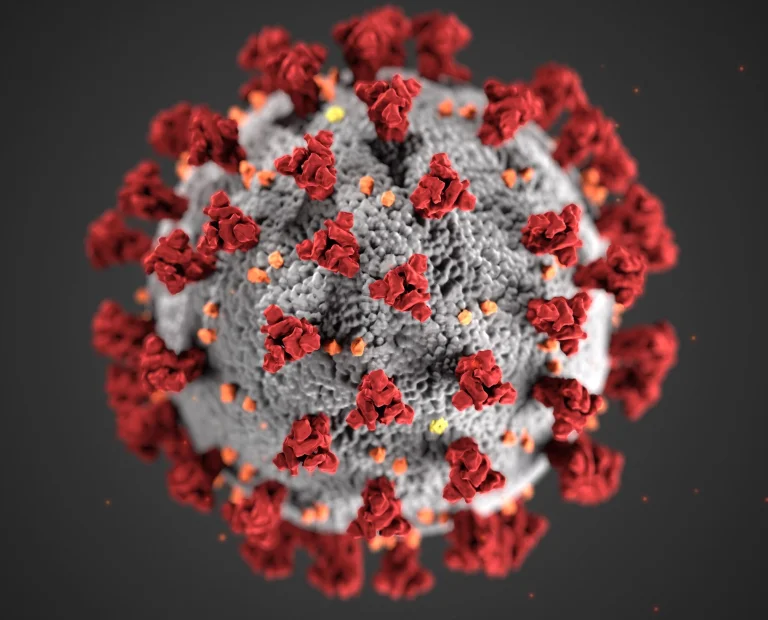 Close up image of a coronavirus