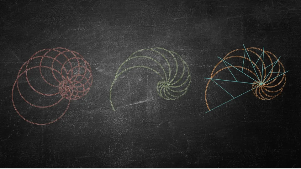 Chalk drawn red green and orange shells