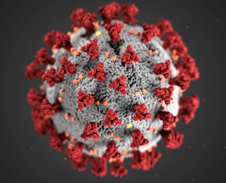 Close up image of a coronavirus