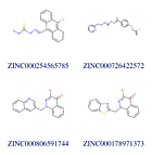 ELLIS researchers screen a billion molecules for drugs against Covid-19