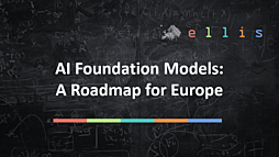 AI Foundation Models: A Roadmap for Europe