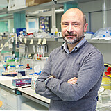Stefano Panzeri